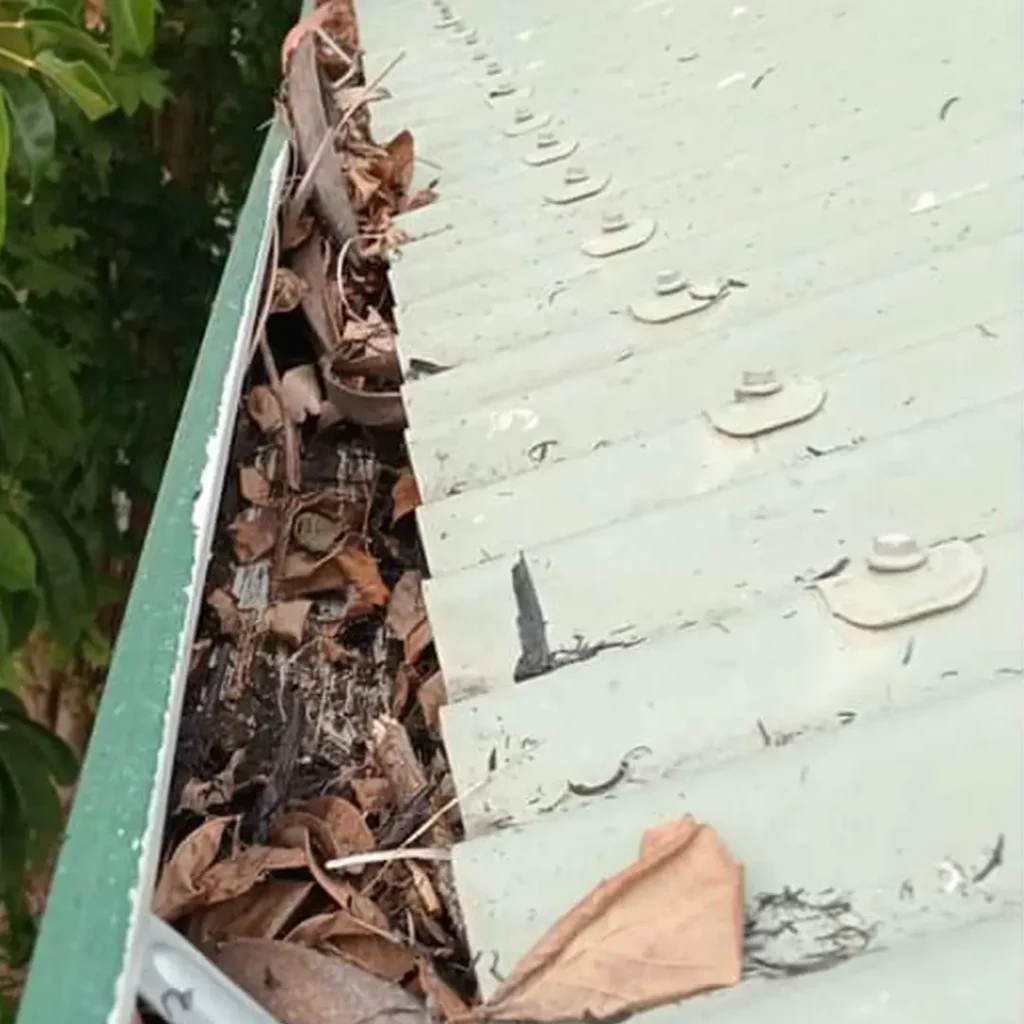 Gutter full of leaves which need gutter cleaning