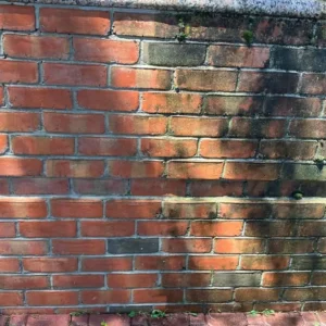 Pressure Washing Gallery Brick wall with algae and mould half pressure washed